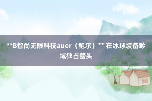 **B智尚无限科技auer(鲍尔)** 在冰球装备畛域独占鳌头