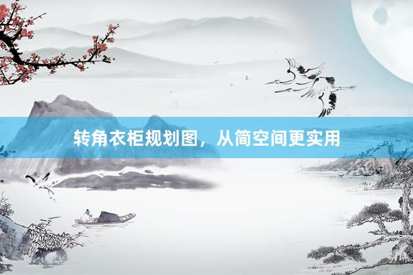 转角衣柜规划图，从简空间更实用
