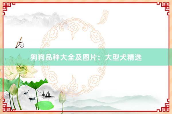 狗狗品种大全及图片：大型犬精选