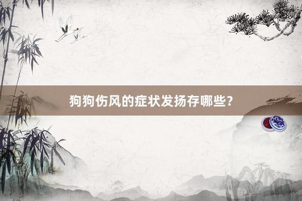 狗狗伤风的症状发扬存哪些？